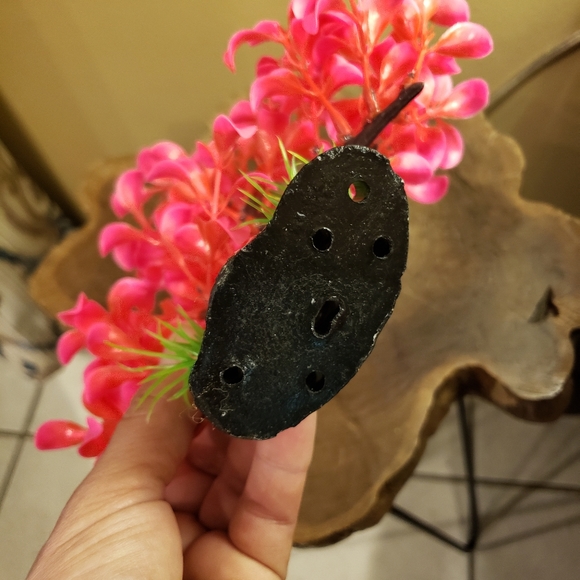 2 aquarium plants - Picture 5 of 12